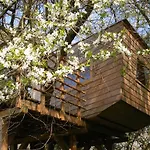 Apartmán 1